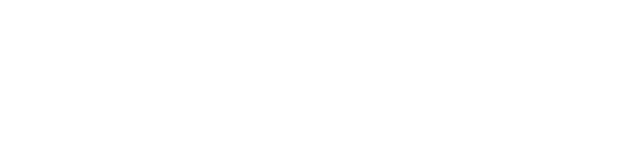 Logo navbar